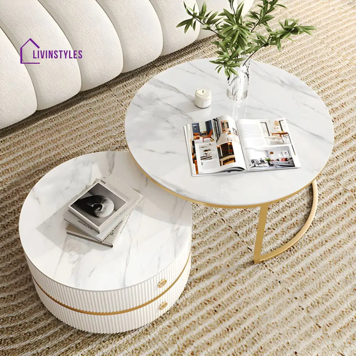 Devansh Stainless Steel Frame Coffee Table for Living Room