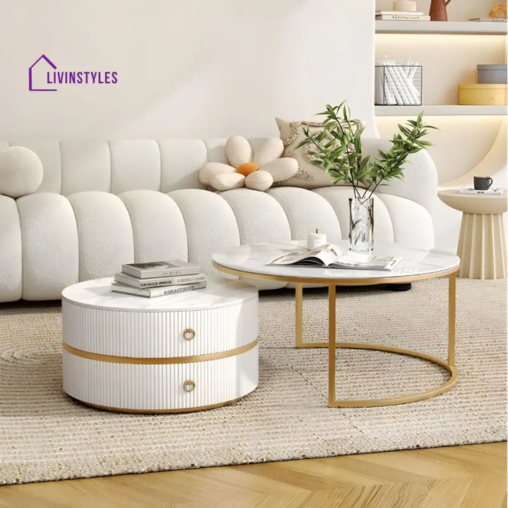 Devansh Stainless Steel Frame Coffee Table for Living Room