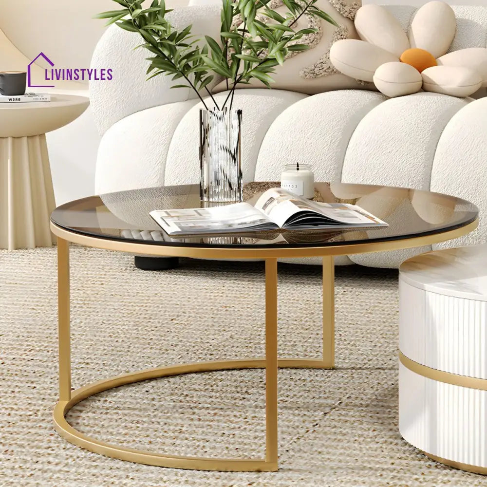 Devansh Stainless Steel Frame Coffee Table for Living Room