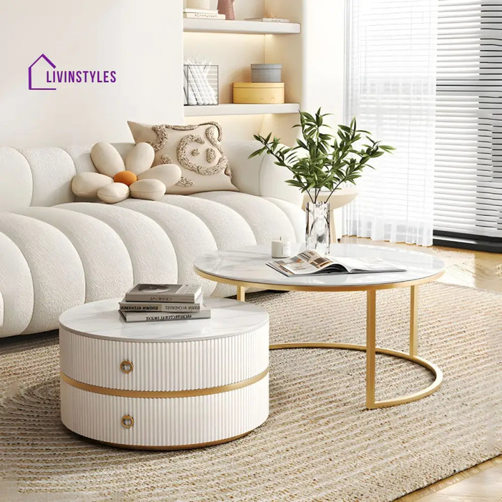 Devansh Stainless Steel Frame Coffee Table for Living Room