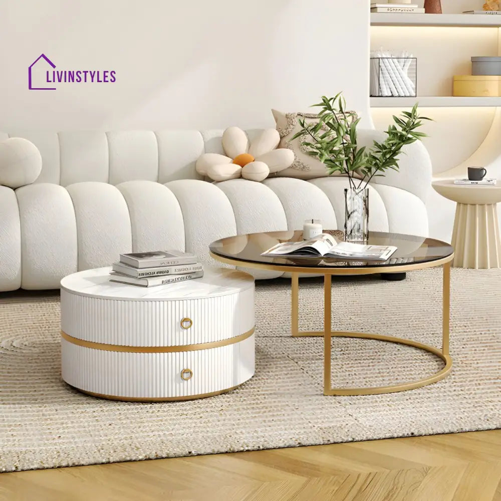 Devansh Stainless Steel Frame Coffee Table for Living Room
