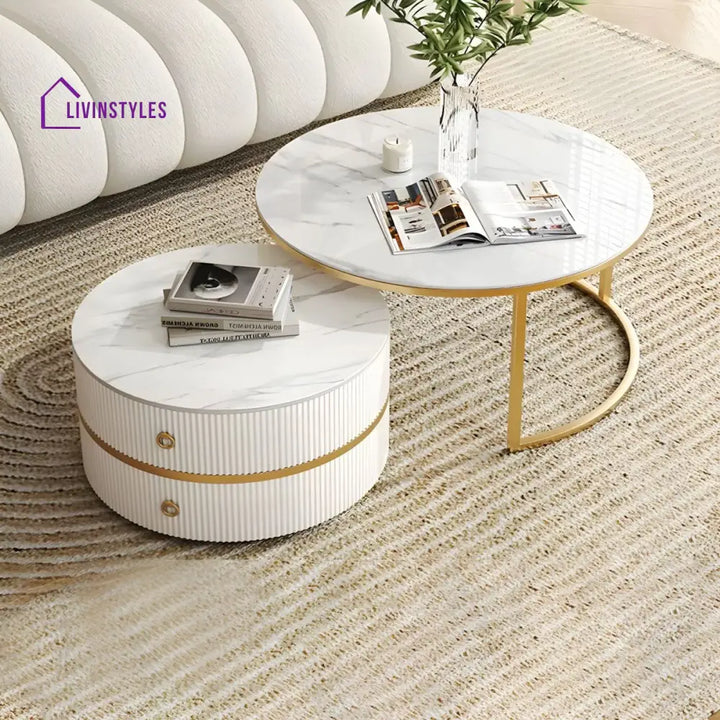 Devansh Stainless Steel Frame Coffee Table for Living Room