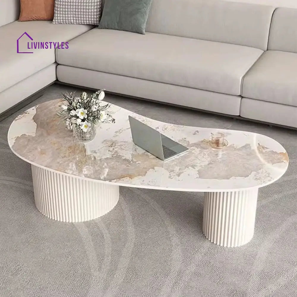 Dhwani MDF Frame and Ceramic Marble Top Coffee Table for Living Room