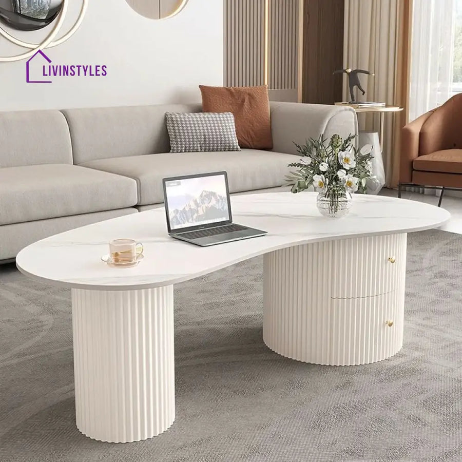Dhwani MDF Frame and Ceramic Marble Top Coffee Table for Living Room