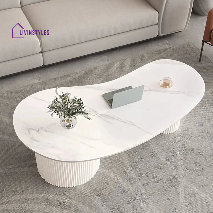 Dhwani MDF Frame and Ceramic Marble Top Coffee Table for Living Room