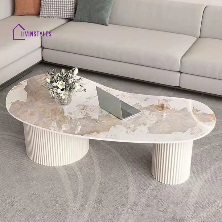 Dhwani MDF Frame and Ceramic Marble Top Coffee Table for Living Room