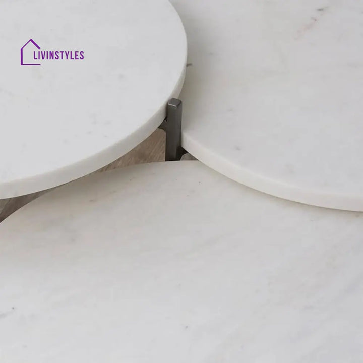 Divya Metal Coffee Table