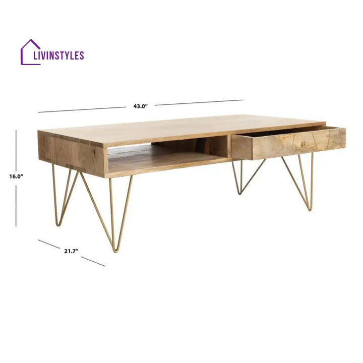Diya Solid Wood and Metal Coffee Table for Living Room