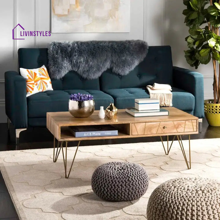 Diya Solid Wood and Metal Coffee Table for Living Room