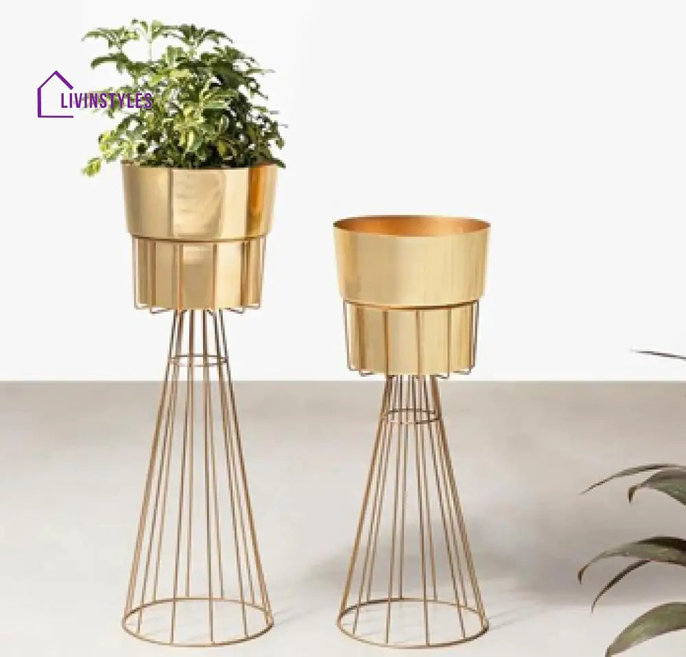 Dorofey Luxury Indoor Cone-base Planters