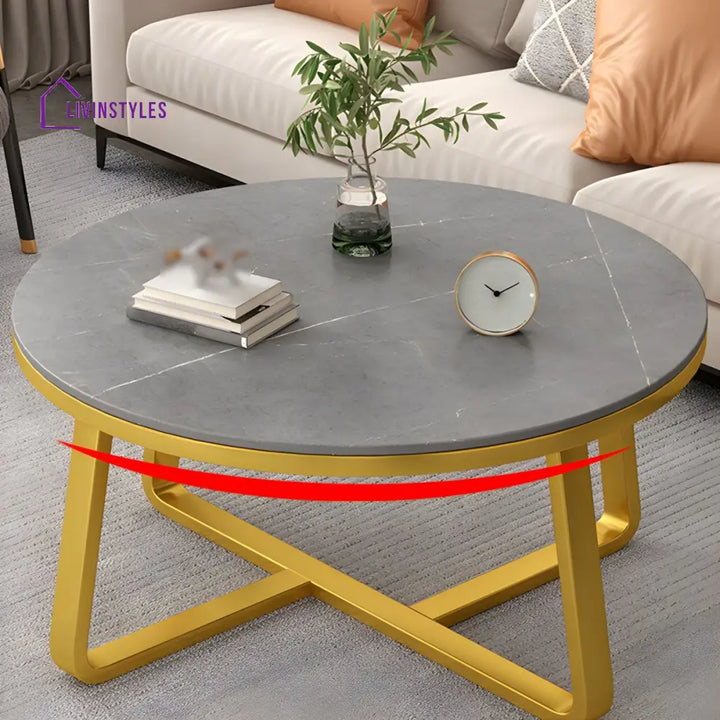 Driti Stainless Steel Frame Coffee Table for Living Room