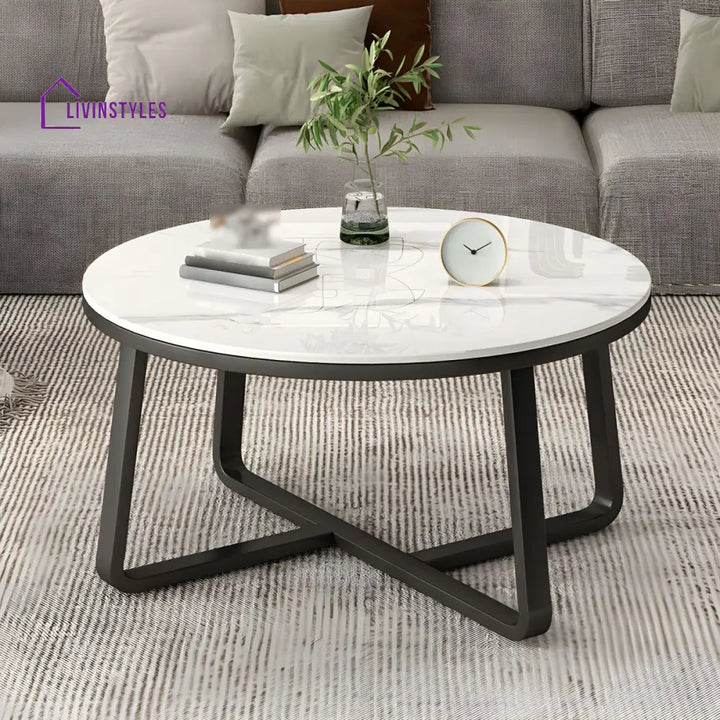 Driti Stainless Steel Frame Coffee Table for Living Room