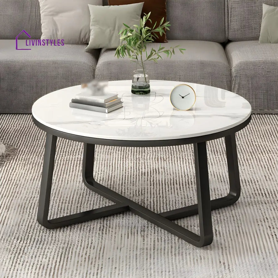 Driti Stainless Steel Frame Coffee Table for Living Room