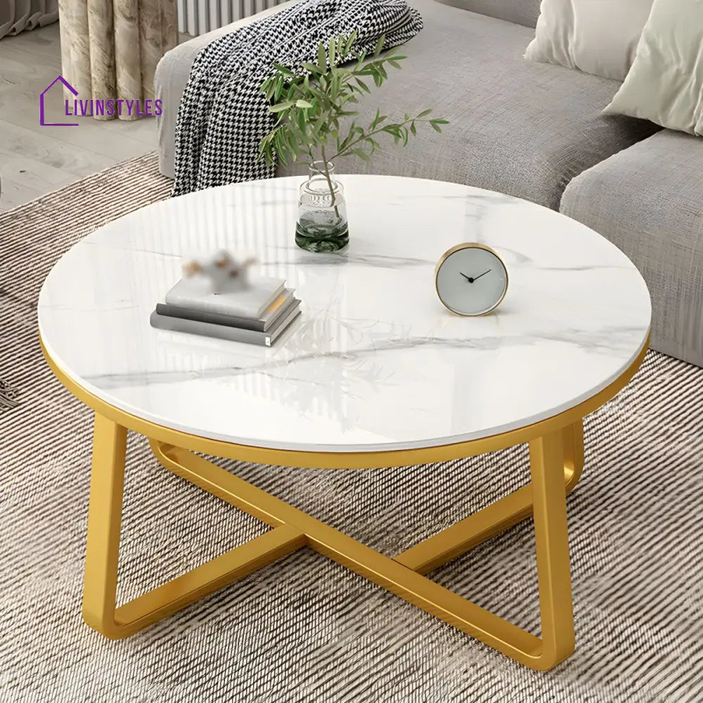 Driti Stainless Steel Frame Coffee Table for Living Room