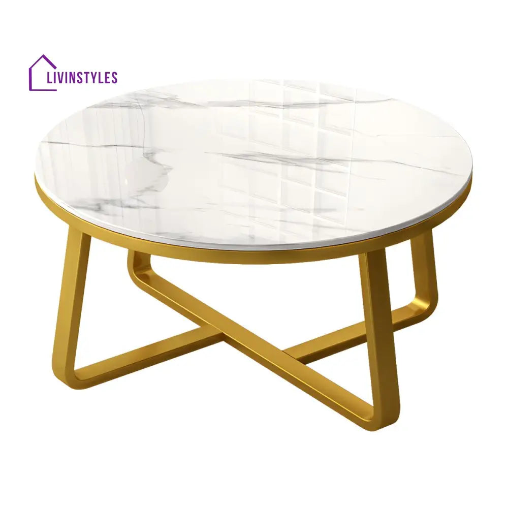 Driti Stainless Steel Frame Coffee Table for Living Room