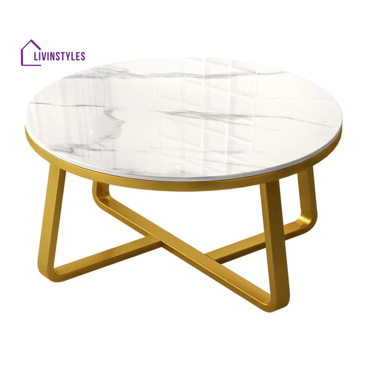 Driti Stainless Steel Frame Coffee Table for Living Room