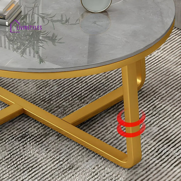 Driti Stainless Steel Frame Coffee Table for Living Room