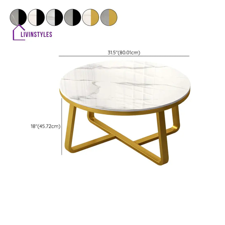 Driti Stainless Steel Frame Coffee Table for Living Room