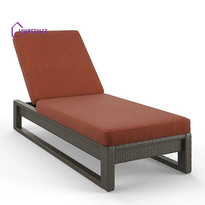 Edris Outdoor Swimming Poolside Lounger (Brown) - Brown + Brown - Loungers
