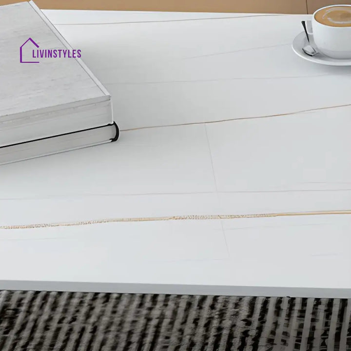 Ekansh Stainless Steel Coffee Table for Living Room