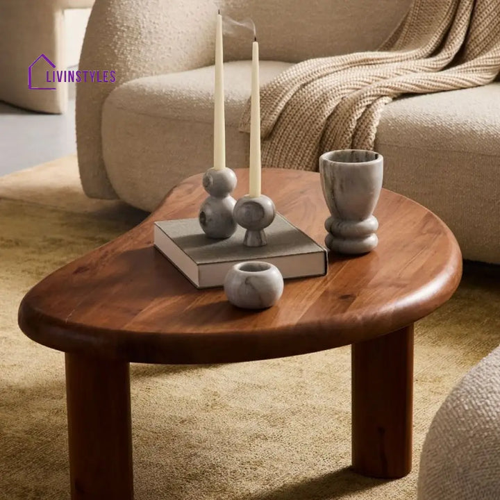 Ekisha Solid Wood Coffee Table for Living Room