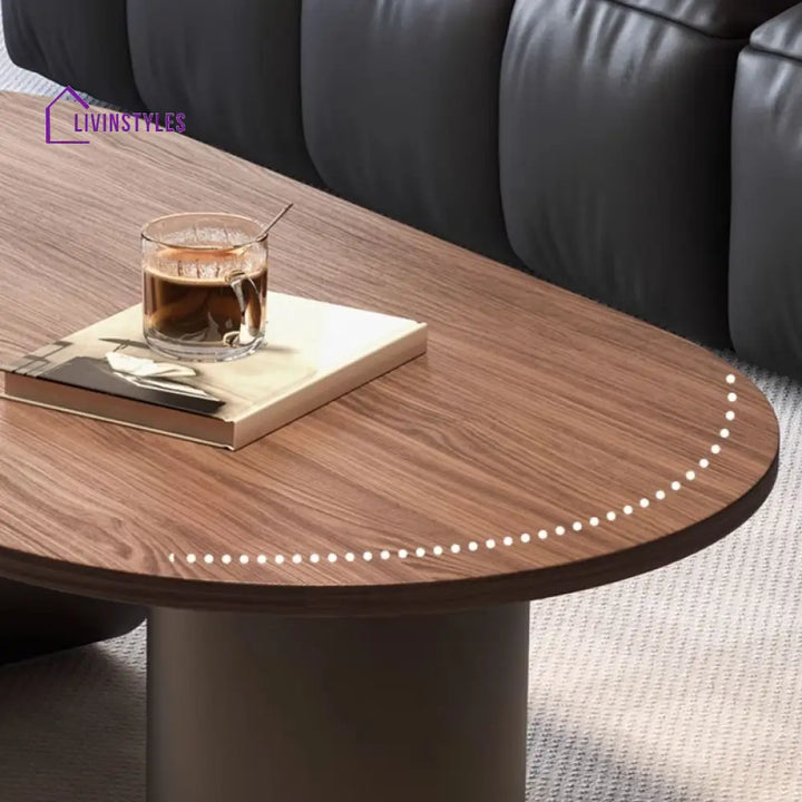 Elara Stainless Steel Coffee Table | Wooden Table Top