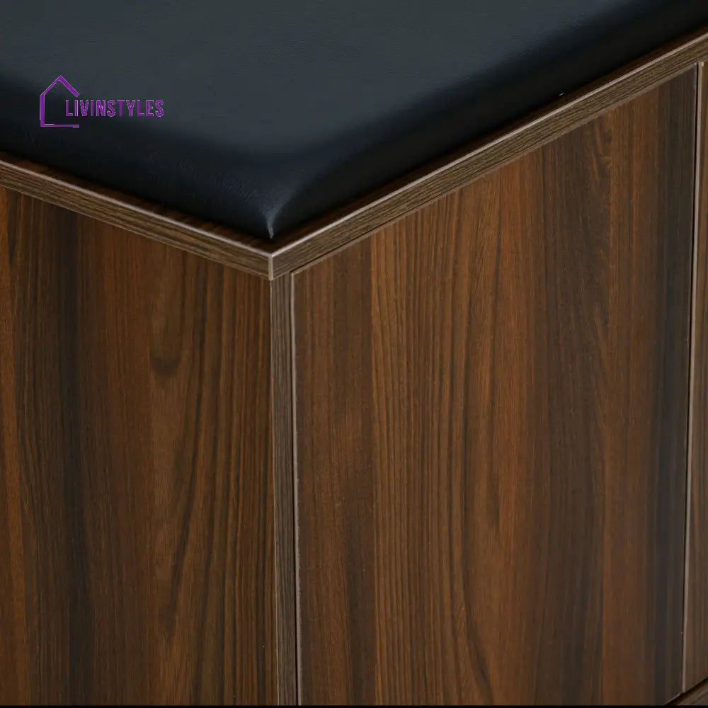 Anatoly 2 Door Engineered Wood Shoe Cabinet (Walnut) Home Furniture