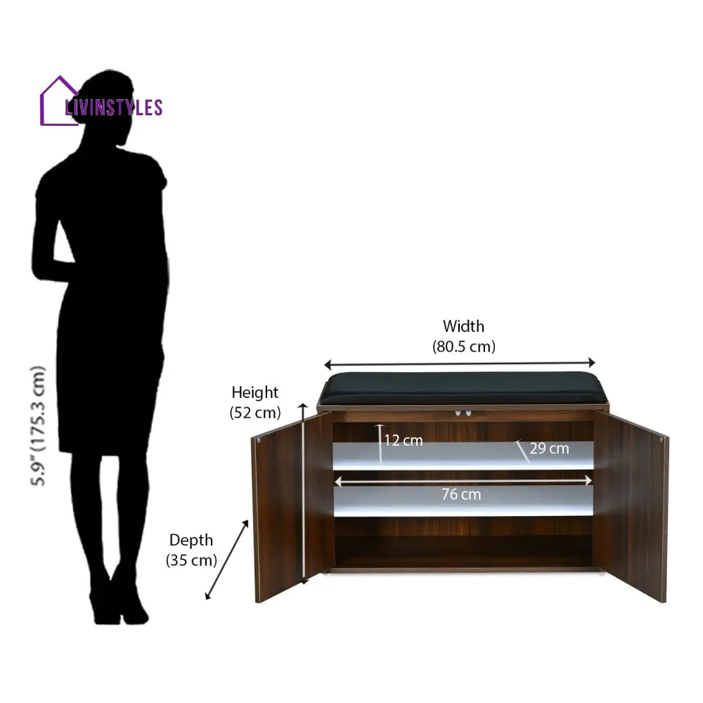 Anatoly 2 Door Engineered Wood Shoe Cabinet (Walnut) Home Furniture