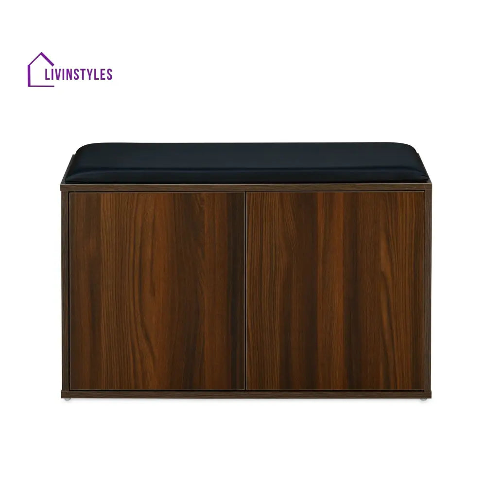 Anatoly 2 Door Engineered Wood Shoe Cabinet (Walnut) Home Furniture