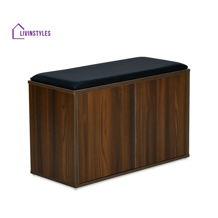 Anatoly 2 Door Engineered Wood Shoe Cabinet (Walnut) Home Furniture