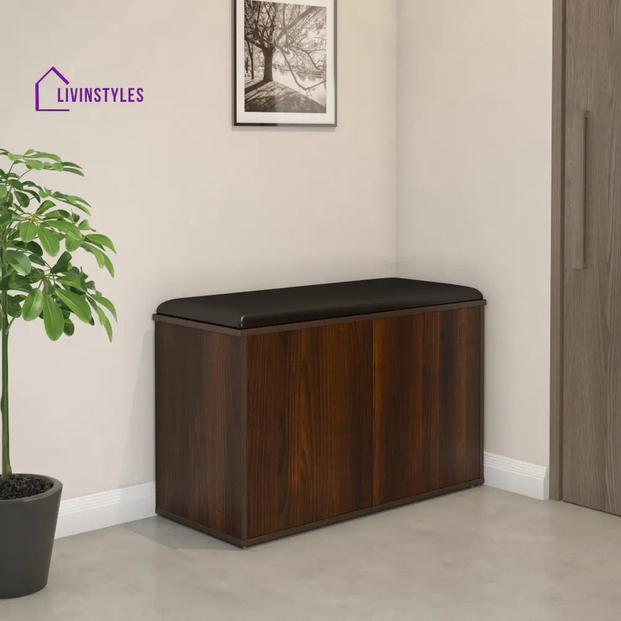 Anatoly 2 Door Engineered Wood Shoe Cabinet (Walnut) Home Furniture
