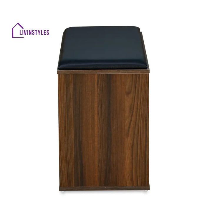 Anatoly 2 Door Engineered Wood Shoe Cabinet (Walnut) Home Furniture