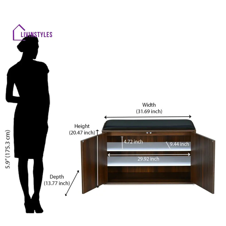Anatoly 2 Door Engineered Wood Shoe Cabinet (Walnut) Home Furniture