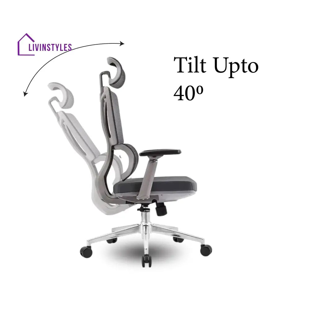 Ergo Gladiator Executive Office Chair with Head Rest