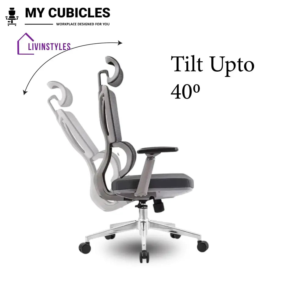 Ergo Gladiator Executive Office Chair with Head Rest