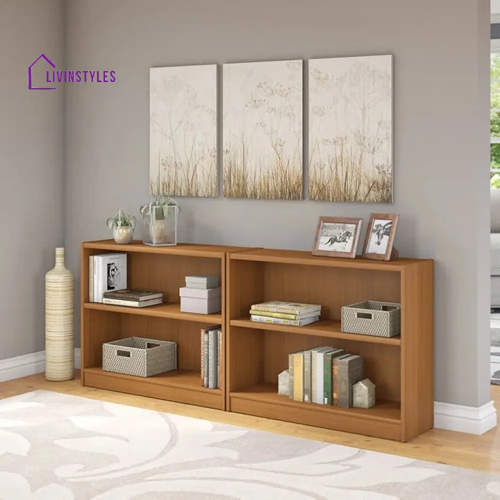 Eseniya Engineered Wood Bookshelves | Bookshelf for Living Room | Bedroom | Drawing Room | Study Room