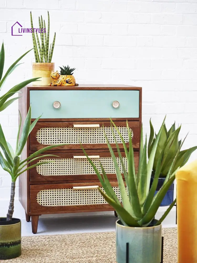 Eseniya Rattan Solid Wood Small Chest of Drawer chest of drawer