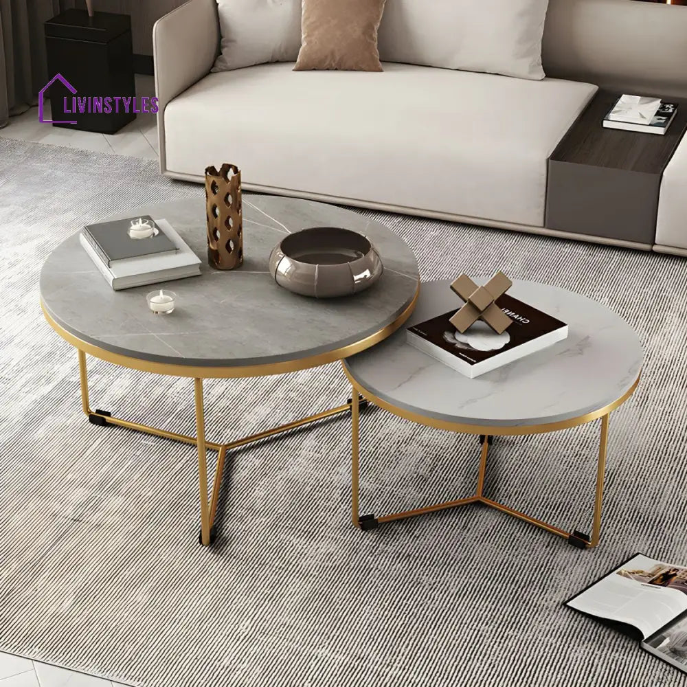 Eshan Stainless Steel Frame Coffee Table for Living Room