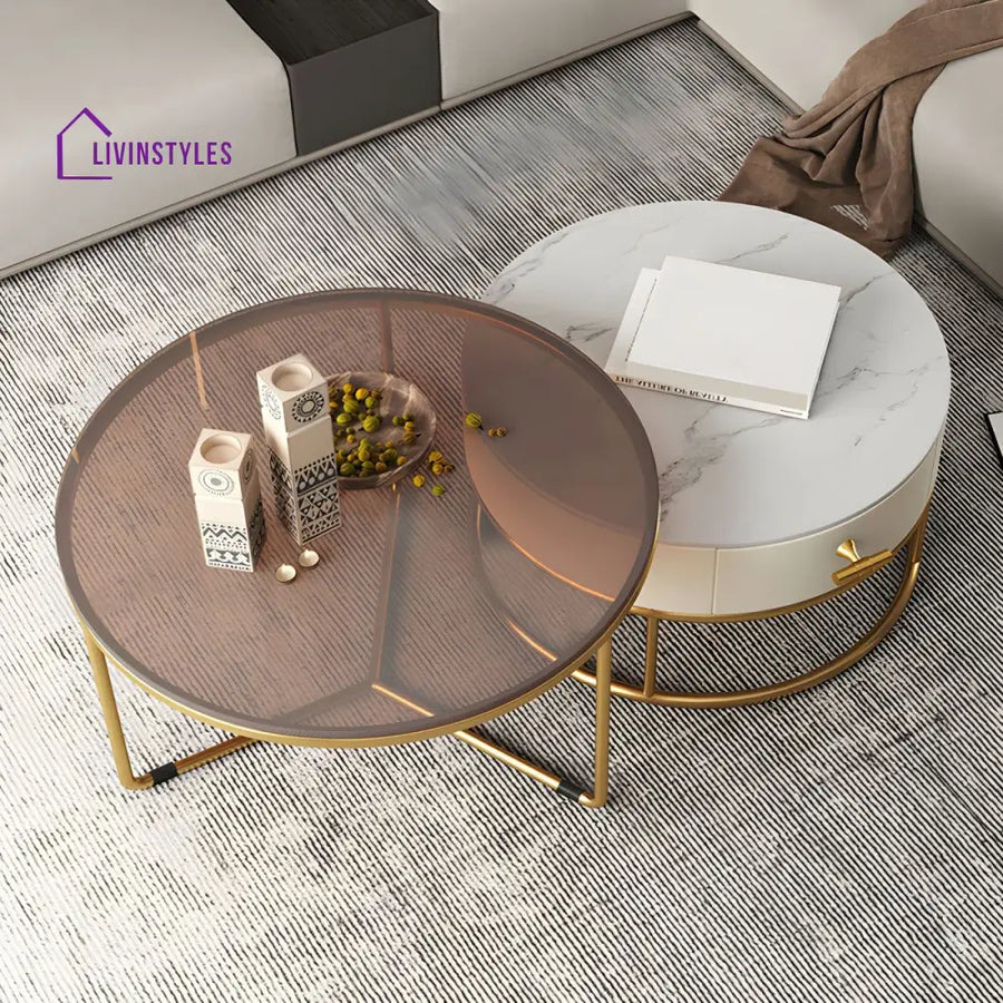 Eshan Stainless Steel Frame Coffee Table for Living Room