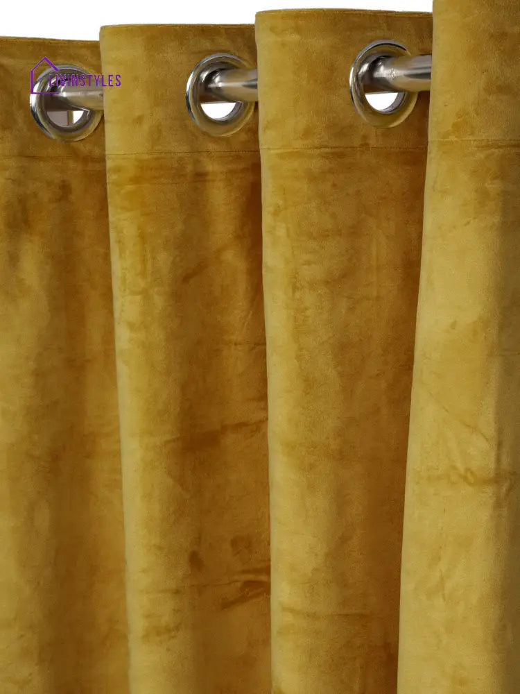 Eyda Premium Velvet Mustard Color Eyelet Window Door Curtain- 1 Pc