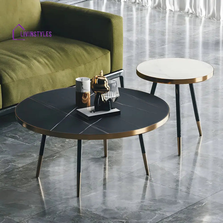 Falguni Stainless Steel Frame Coffee Table for Living Room