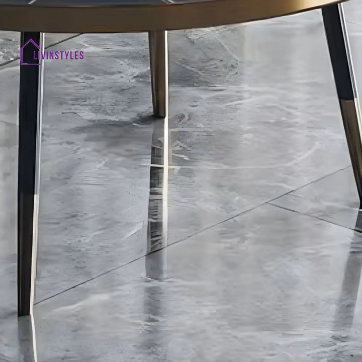 Falguni Stainless Steel Frame Coffee Table for Living Room