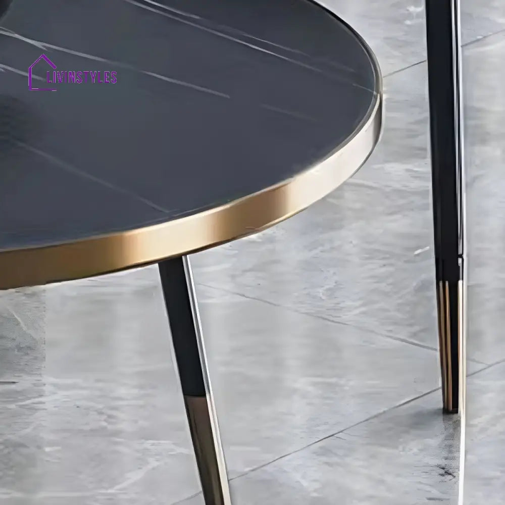 Falguni Stainless Steel Frame Coffee Table for Living Room