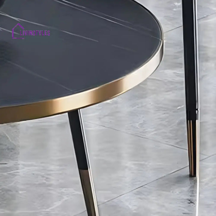 Falguni Stainless Steel Frame Coffee Table for Living Room
