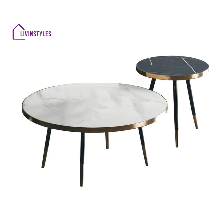 Falguni Stainless Steel Frame Coffee Table for Living Room