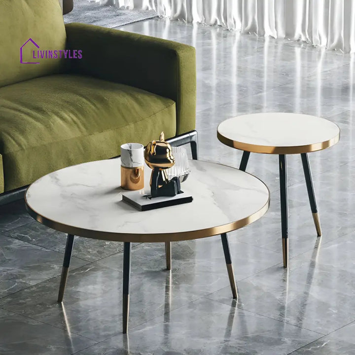 Falguni Stainless Steel Frame Coffee Table for Living Room