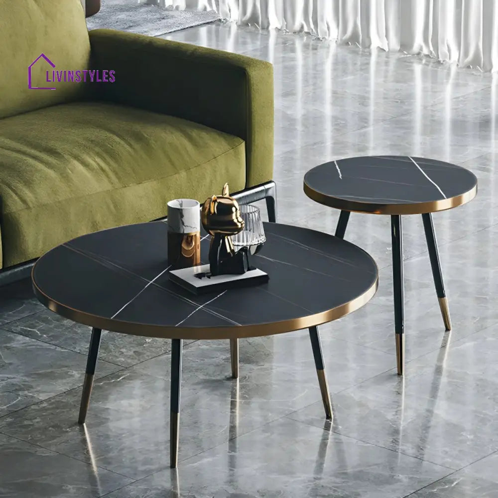 Falguni Stainless Steel Frame Coffee Table for Living Room