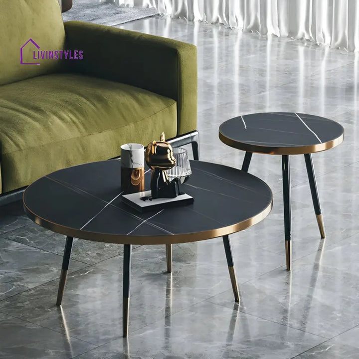 Falguni Stainless Steel Frame Coffee Table for Living Room
