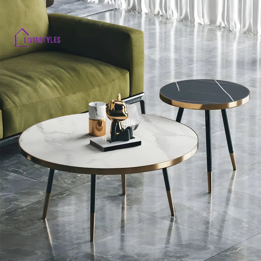 Falguni Stainless Steel Frame Coffee Table for Living Room