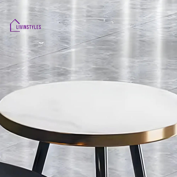 Falguni Stainless Steel Frame Coffee Table for Living Room